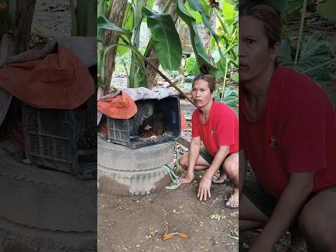 #shortvideo #goodvibes #youtubeshorts #youtubevideo #youtube