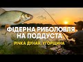 Фідерна риболовля на Дунаї | Вечірній кльов Поддуста