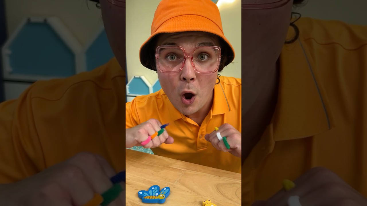 🐞 Can You Put All The Insects In The Right Place? 🐜 