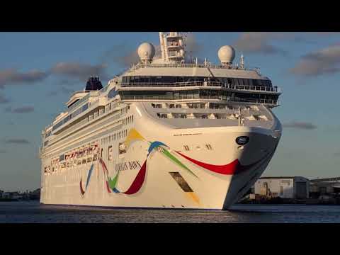 Norwegian Dawn Depart Tampa | 13.01.2022