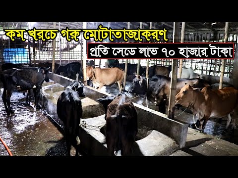 ভিডিও: প্রকল্পের একীকরণের গ্যারান্টি