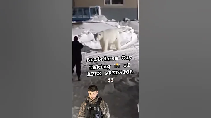 Even the Polar Bear was Confused 😆👀 #survival #shtf #polarbear #wild #wildlife #natureismetal