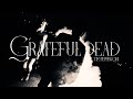 Tim Pepperoni - GRATEFUL DEAD (prod by lightnluxee) [Official Music Video]