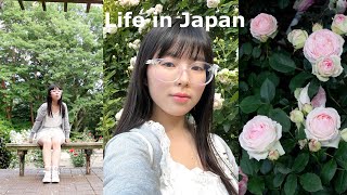 Life in Japan👒: cook Japanese-style meal, went to rose garden etc.