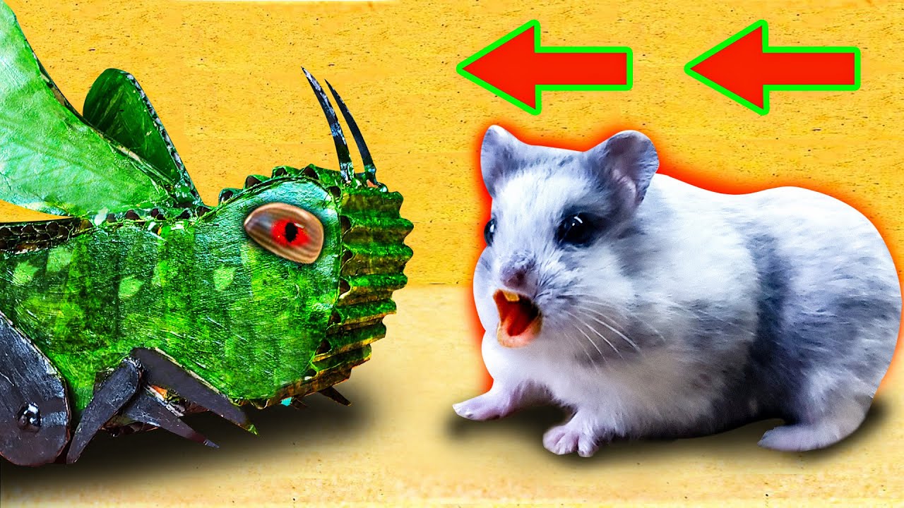 roblox hamster game