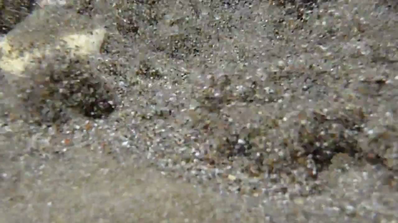 camera iphone 8 plus apk underwater video of Wisconsin springs