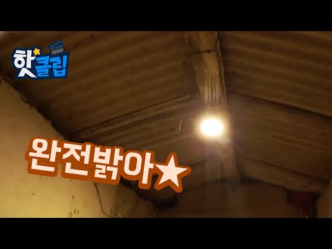 어두컴컴한 재래식 화장실의 변신 [핫클립] / YTN 사이언스