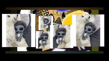 Annoying orange takes the logos add round 5