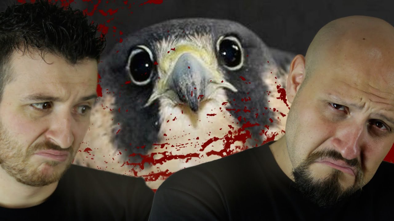 UCCELLO CHE RIDE E PENNA CHE PIANGE #MERD4