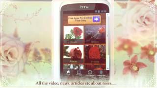 Red Rose Flowers Apps screenshot 4