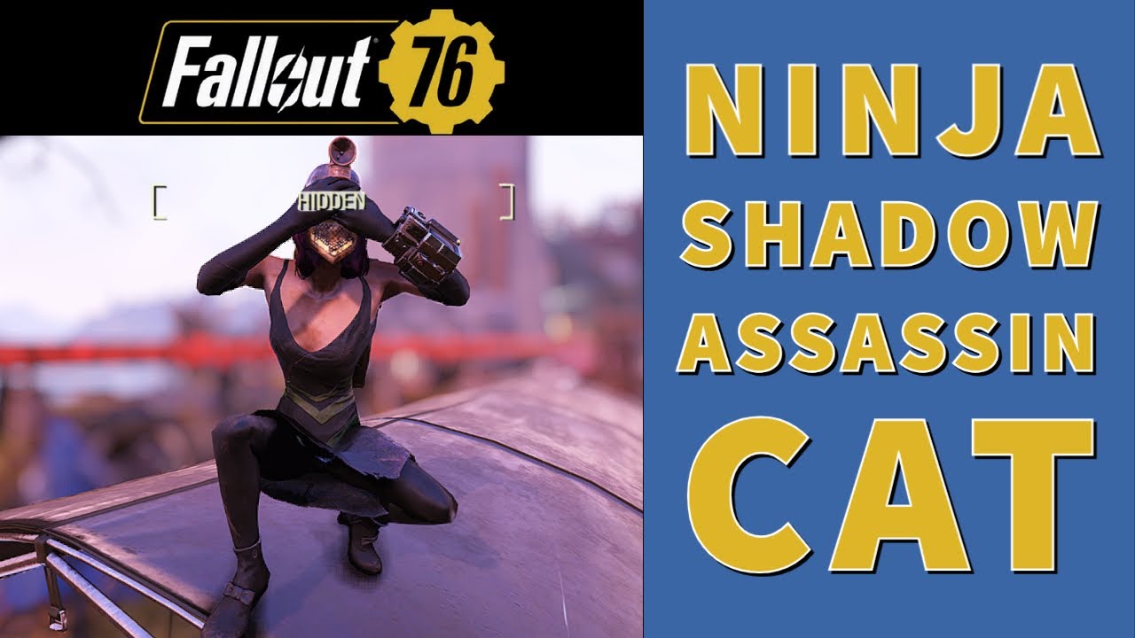 Stealth 🐱‍👤 & Sneaking 🐱‍👤 – ULTIMATE BEGGINERS GUIDE – Fallout 76 Steel Dawn