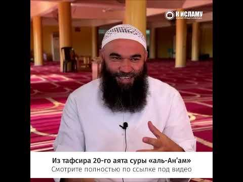 Настоящий убыток #Shorts Ринат Абу Мухаммад