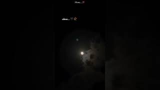 Download Lagu Main parinda besabar jo uda tha dar badar 🤕🥀💔 # broken heart💔 #lyrics 🤕 MP3