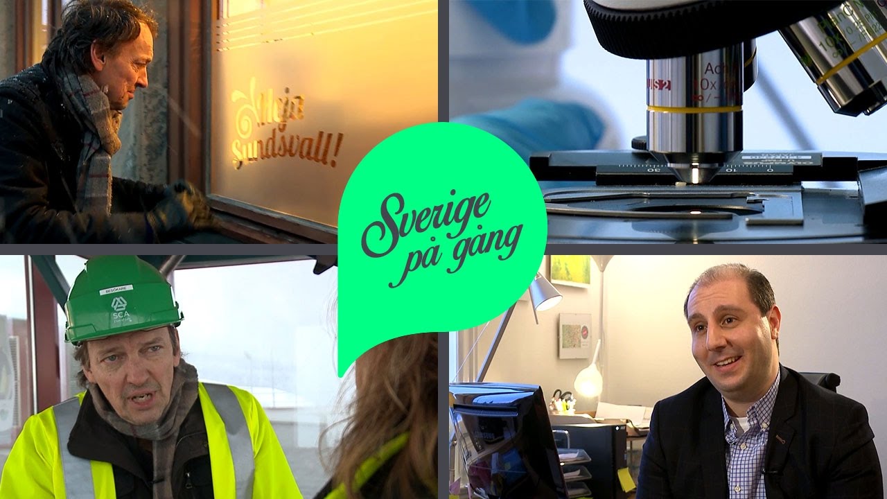 Sundsvall – där mycket mer än skogen växer | Sverige på gång