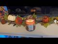 M&amp;SENSE Chestnut Candle Review: Is It Worth Buying?