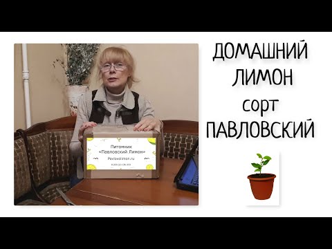 Видео: Здравословен лимон: подбор и съхранение