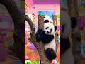 cute Panda cosplay In My Talking Angela 2 #panda #cosplay #mytalkingangela2 #cute #fyp