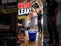 👇Big Ceiling Leak in Abu Dhabi! Bucket Full of Water 😱