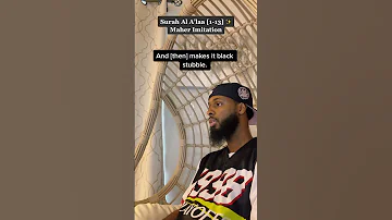Surah Al A LAA BY SHEIKH IBN BASHIR 