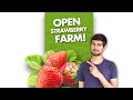 Unlimited strawberry farm