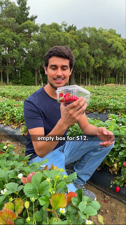 Unlimited Strawberry Farm!