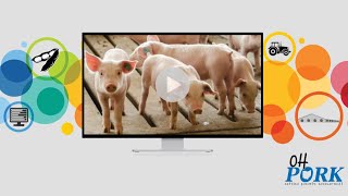 Virtual Field Trip to an Ohio Pig Farm for Middle/High School Students - 4/21/26