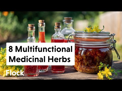 Video: Tropical herb, sweet in taste - salvation in the treatment of many diseases