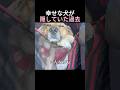 幸せな犬が隠していた過去