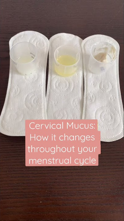 Discharge: Am I normal?! Cervical mucus changes throughout your cycle #shorts