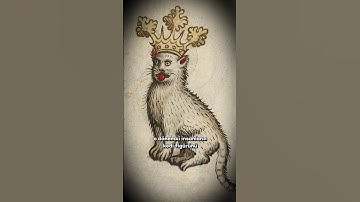 Bu Kediler Neden Ürpertici?