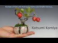 Mame e Shohin bonsai by Katsumi Komiya ((old video re-edited to replace audio track))