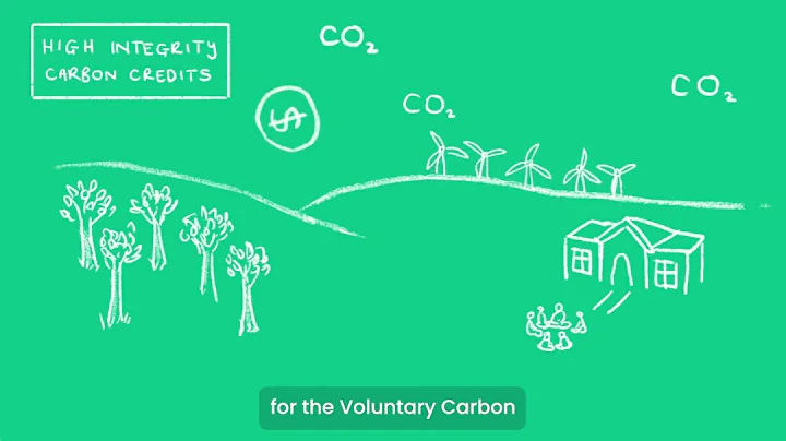 How can companies achieve net zero