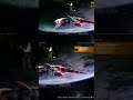 #xur #exoticship #wingedvictory Preparations! | #animeninpo on #Twitch