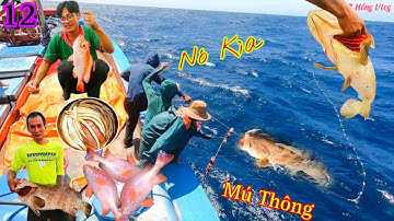 CÂU LẠC 12_Phát hiện Điểm Rạng Thả Câu Tay_Hốt Trọn Ổ cá Mú Thông, Cá Hồng, Cá Lạc Kéo Rát Tay