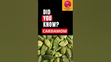 Benefits of cardamom  | health benefits of elaichi #shorts