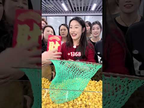 مسابقة جمع الفشار كلما جمعت أكثر زادت أرباحك من وجد الذهب المخفي