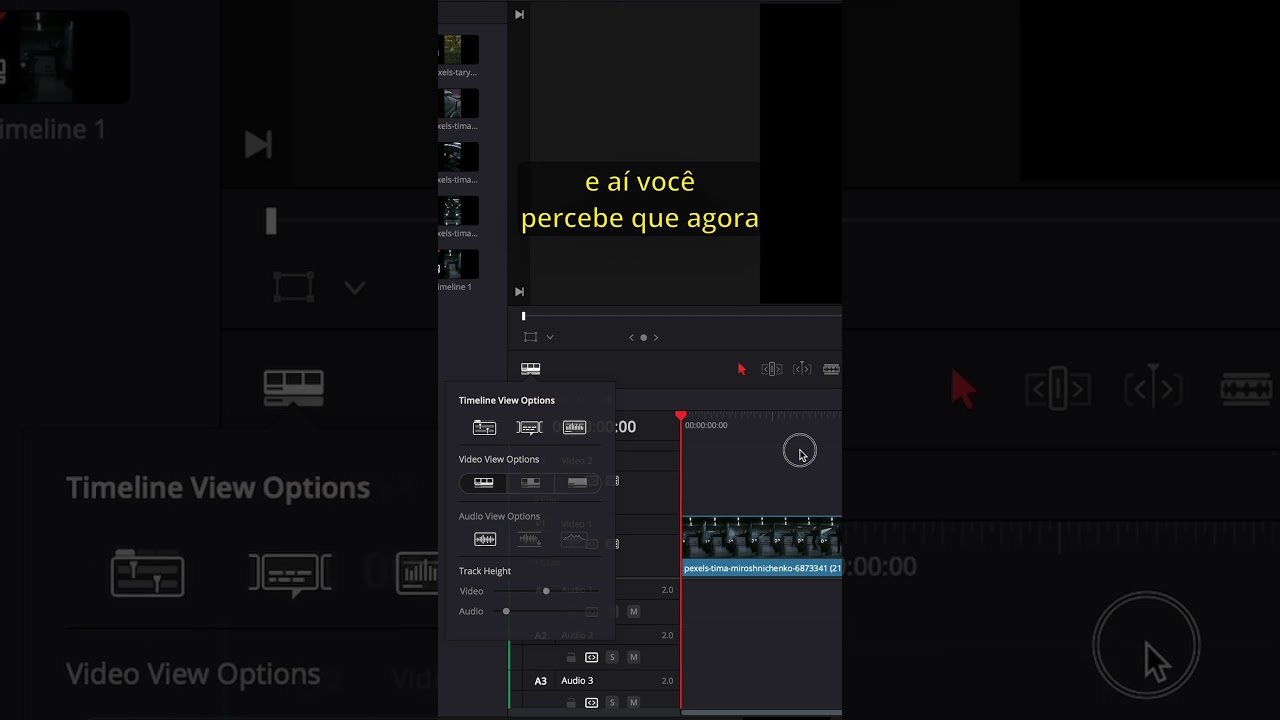 Conheça nosso Canal e faça o Curso Gratuito!