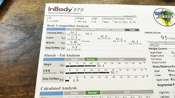 Quick guide on understanding your inbody scan