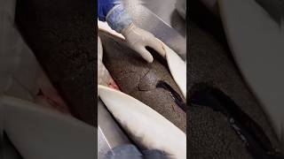 Worlds Most Expensive Food