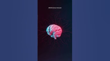 Stop Wasting Time! 3 Hacks to Instantly Boost Your Focus