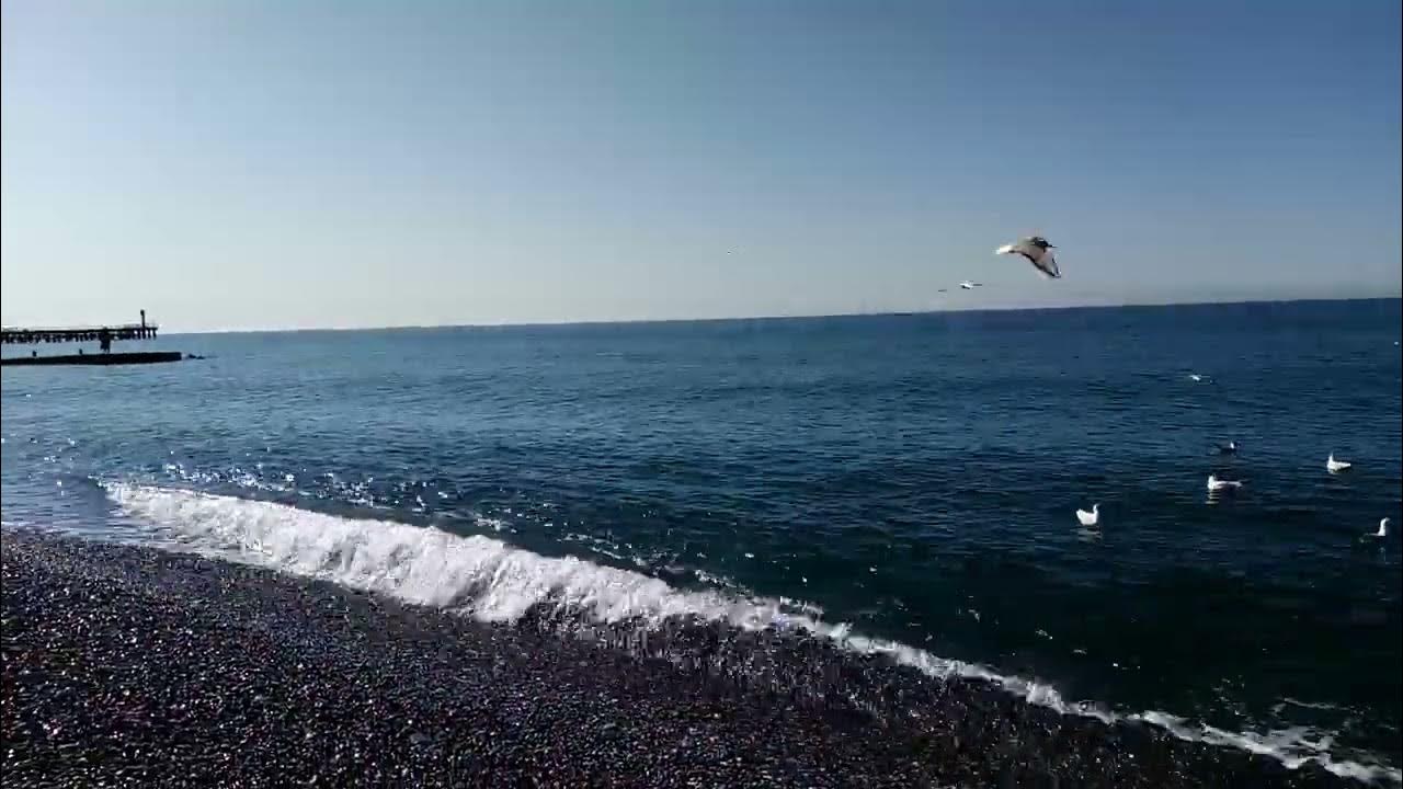 Температура моря в адлере сегодня