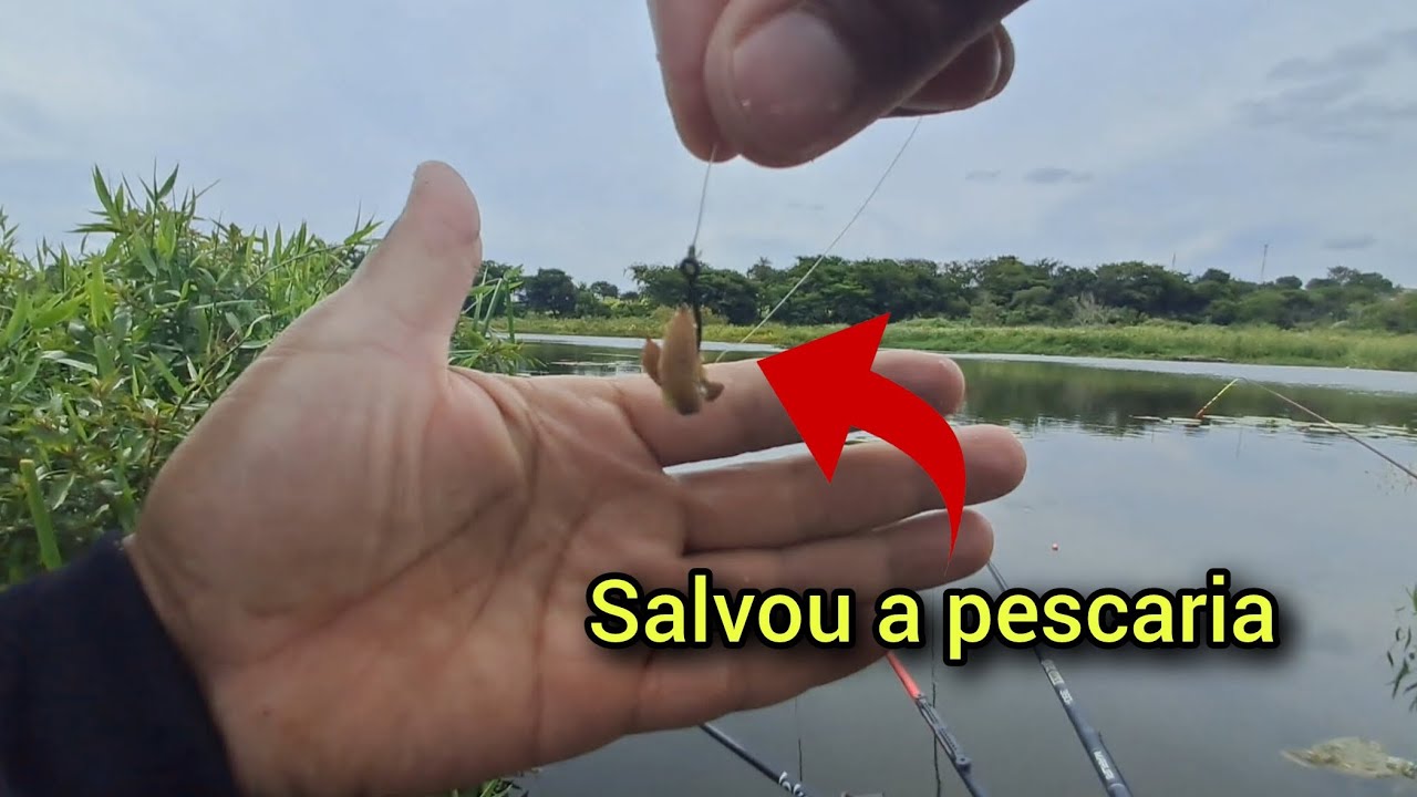 SEMPRE TENHA MAIS DE DUAS ISCAS,  VAI SALVAR A SUA PESCARIA!