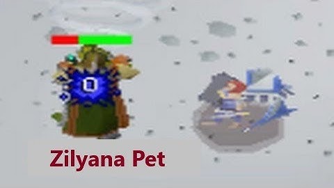 Duo Zilyana with TBOW - Stream Highlights