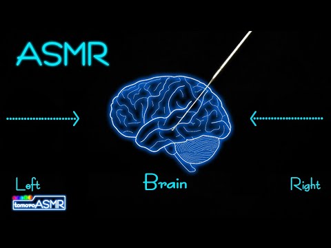 【ASMR】耳かきで脳を刺激！？ついにゾクゾク復活か！？/뇌와 귀를 관통/Brain Penetrating&Electrifying Tingles/Ear Cleaning