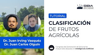 Clasificación de frutos agrícolas