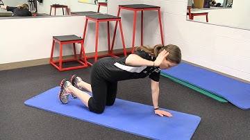 Quadruped Extension Rotation