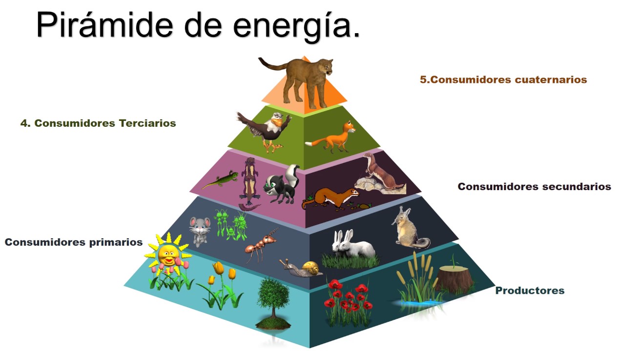 piramide de energia 