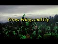 Capture de la vidéo Grow Wings And Fly [King Gizzard 2023 Tour Documentary]