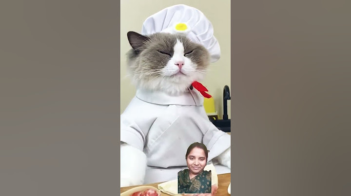 Dumpling machine - is it going to work this time?! #ThatLittlePuff #dumplings @ThatLittlePuff