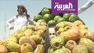 السعوديون يزاحمون الوافدين في بيع الخضار والفواكه